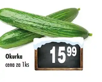 Qanto Okurka nabídka