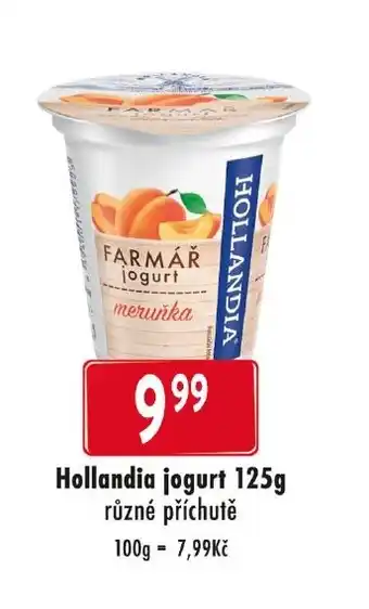 Qanto Hollandia jogurt 125g nabídka