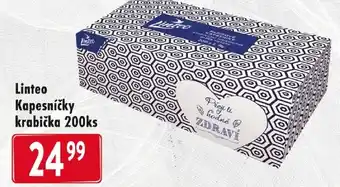 Qanto Linteo Kapesníčky krabička 200ks nabídka