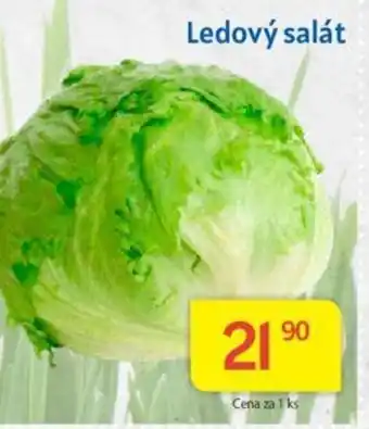 Kubík potraviny Ledový salát nabídka