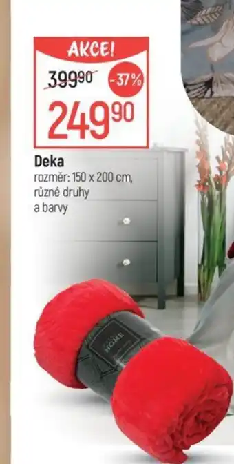 Globus Deka nabídka