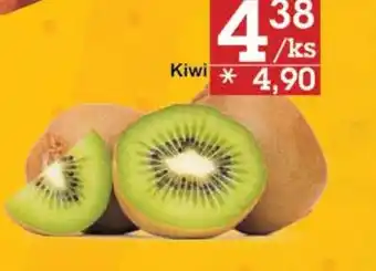 Jip Kiwi nabídka