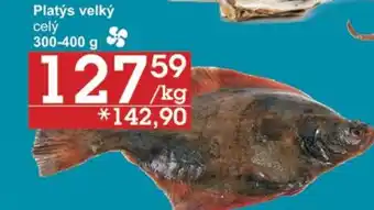 Jip Platýs velký celý nabídka