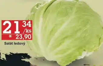 Jip Salát ledový nabídka
