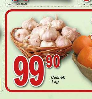 Česnek