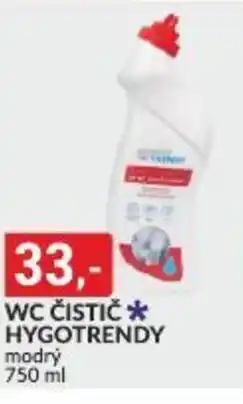 Baumax WC ČISTIČ HYGOTRENDY nabídka