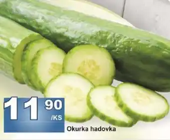 Jip Okurka hadovka nabídka