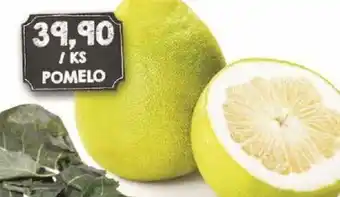 Jip POMELO nabídka