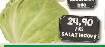 Jip SALÁT ledový nabídka
