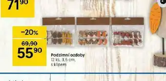 Podzimní ozdoby