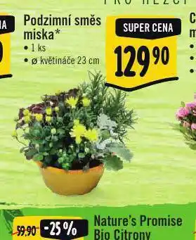 Albert Podzimní směs miska nabídka