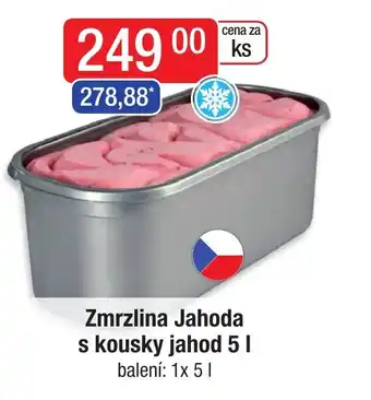 Qanto Zmrzlina Jahoda s kousky jahod 5L nabídka
