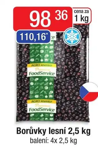 Qanto Borůvky lesní 2,5 kg nabídka
