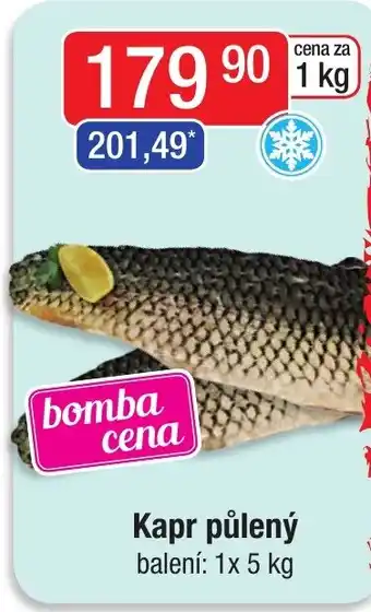 Qanto Kapr půlený nabídka