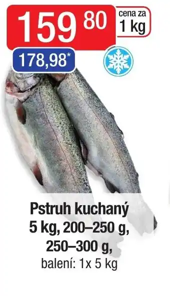 Pstruh kuchaný 5 kg, 200-250 g, 250-300 g