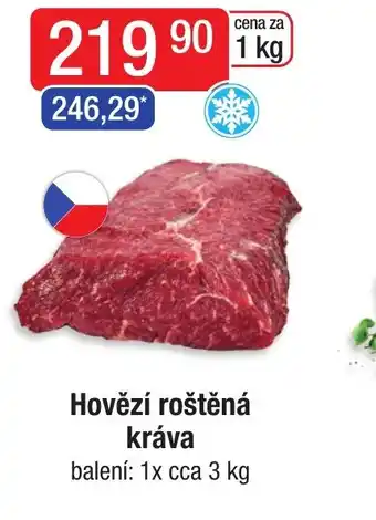 Qanto Hovězí roštěná kráva nabídka