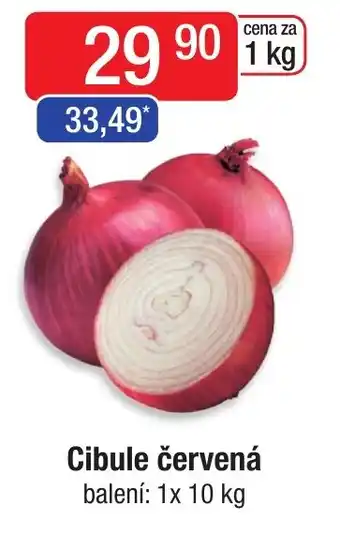 Qanto Cibule červená nabídka