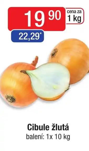 Qanto Cibule žlutá nabídka