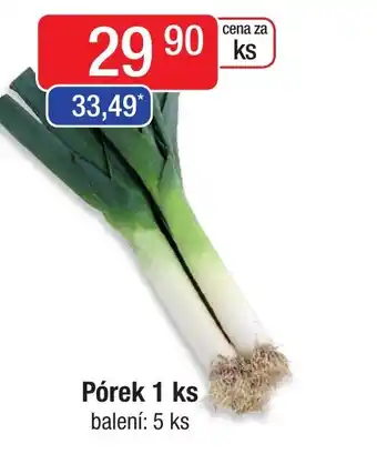 Qanto Pórek 1 ks nabídka