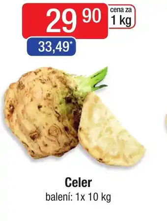 Qanto Celer nabídka