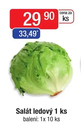 Qanto Salát ledový 1 ks nabídka