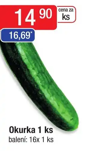 Qanto Okurka 1 ks nabídka