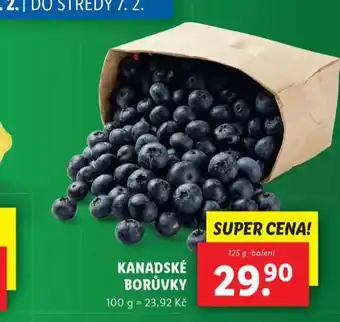 Lidl Kanadské borůvky nabídka