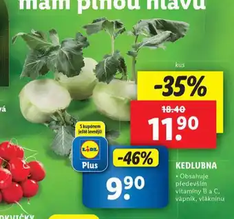 Lidl Kedlubna nabídka