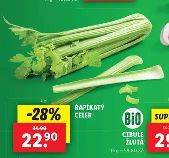 Lidl Řapíkatý celer nabídka