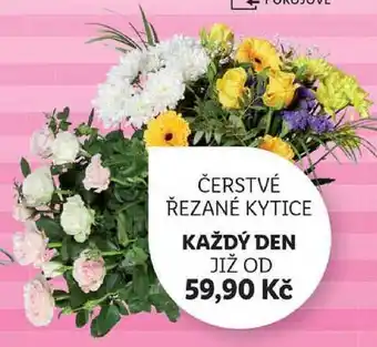 Lidl ČERSTVÉ ŘEZANÉ KYTICE nabídka