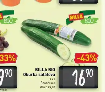 Billa Bio okurka salátová nabídka