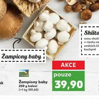 Kaufland Žampiony baby nabídka