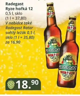 Potraviny CZ Radegast Ryze hořká 12 0,5 L nabídka