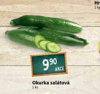Terno Okurka salátová nabídka