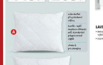 Lidl Polštář 50 x 60 cm nabídka