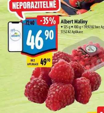 Albert Albert Maliny 125 g nabídka