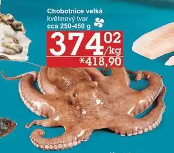 Jip Chobotnice velká květinový tvar, 1 kg nabídka