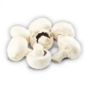 Jip Žampiony bílé zahradní 1 kg nabídka