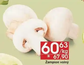 Jip Žampion volný, 1 kg nabídka