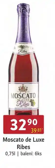 Qanto Moscato de Luxe Ribes nabídka