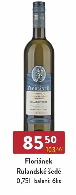Qanto Floriánek Rulandské šedé nabídka