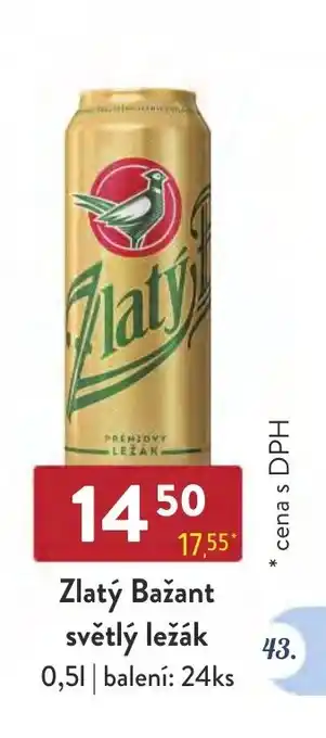 Qanto Zlatý Bažant světlý ležák nabídka