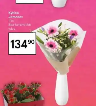 Tesco Kytice jemnost nabídka