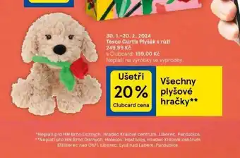 Tesco Tesco curtis plyšák s růží nabídka