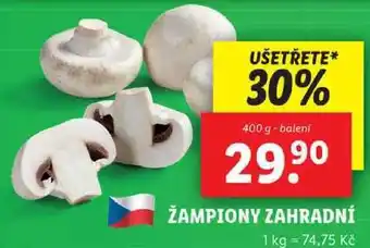 Lidl ŽAMPIONY ZAHRADNÍ, 400 g nabídka