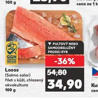Kaufland Losos nabídka