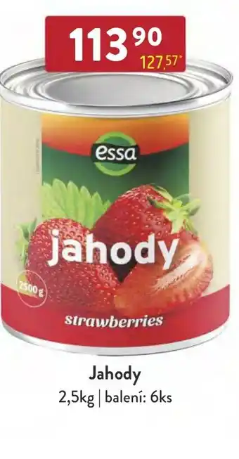 Qanto Jahody nabídka