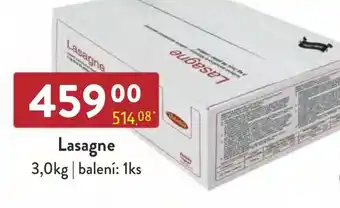 Qanto Lasagne nabídka