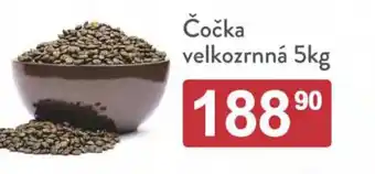 Qanto Čočka velkozrnná 5kg nabídka