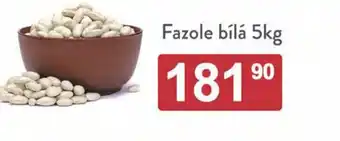 Qanto Fazole bílá 5kg nabídka